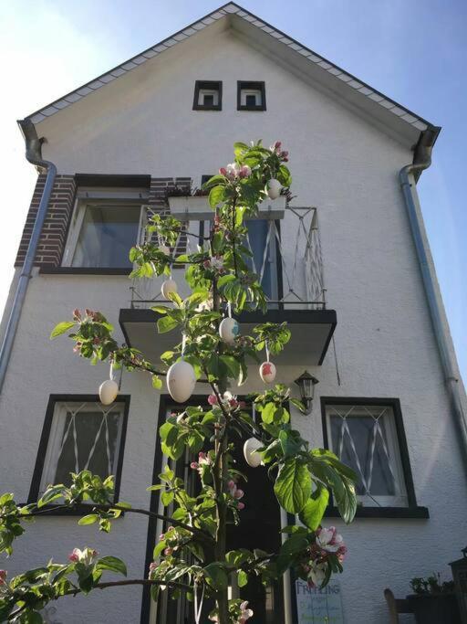 Schoenes Haus Mit Grossem Garten ซิลิเงนชตัดท์ ภายนอก รูปภาพ
